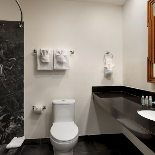 A modern bathroom with a black countertop, sink, toilet, organized toiletries, and a glass-enclosed shower.