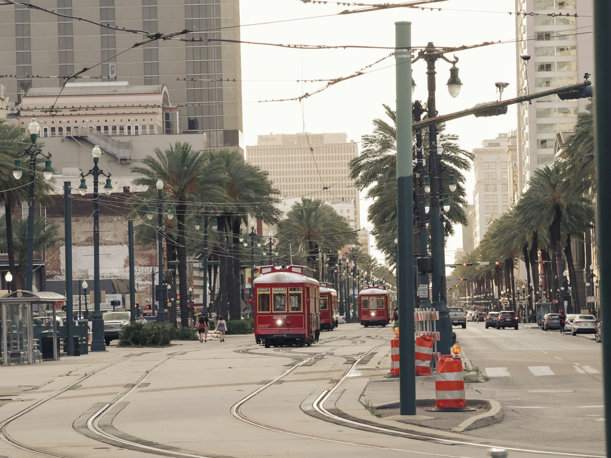 Street scene with red trams, palm trees, and buildings. Orange traffic cones line a nearby sidewalk in an urban setting.