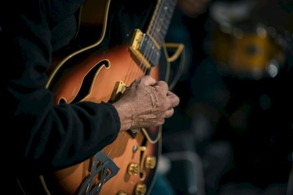 A close-up of hands playing an electric guitar with f-holes and golden hardware. The guitarist is wearing a black long-sleeve shirt.